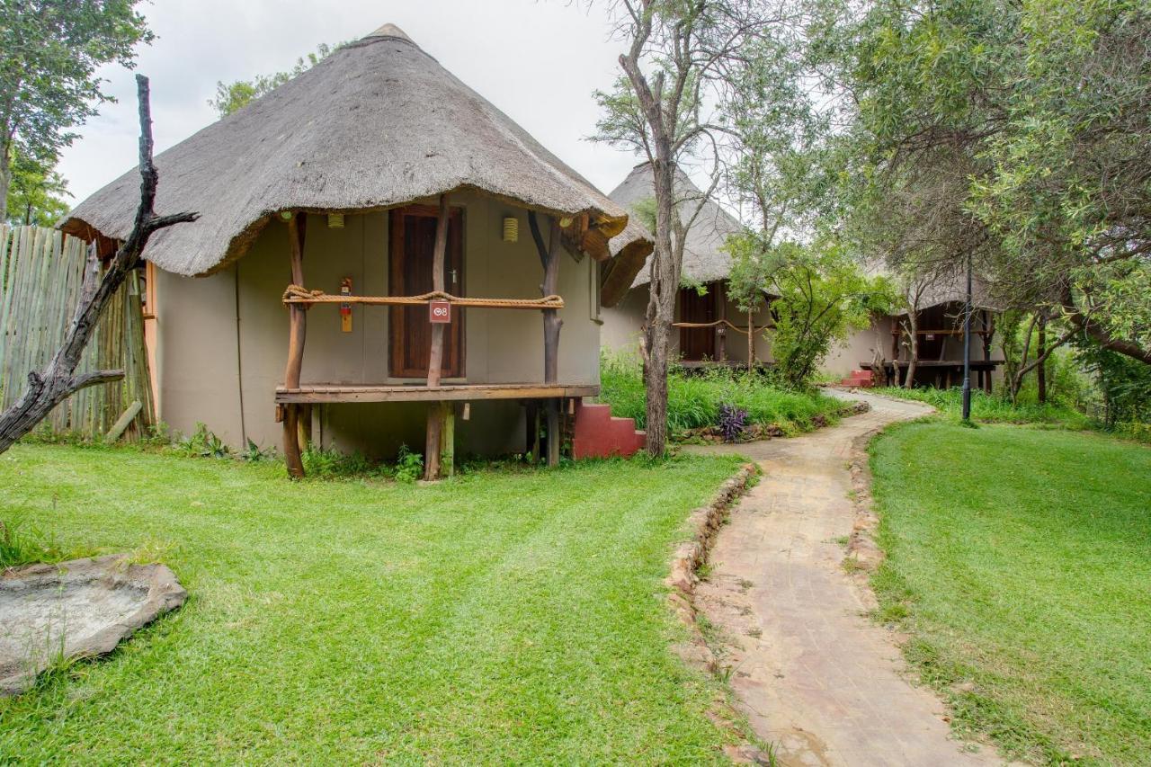 Warthogs Bush Lodge 马加利斯堡 外观 照片