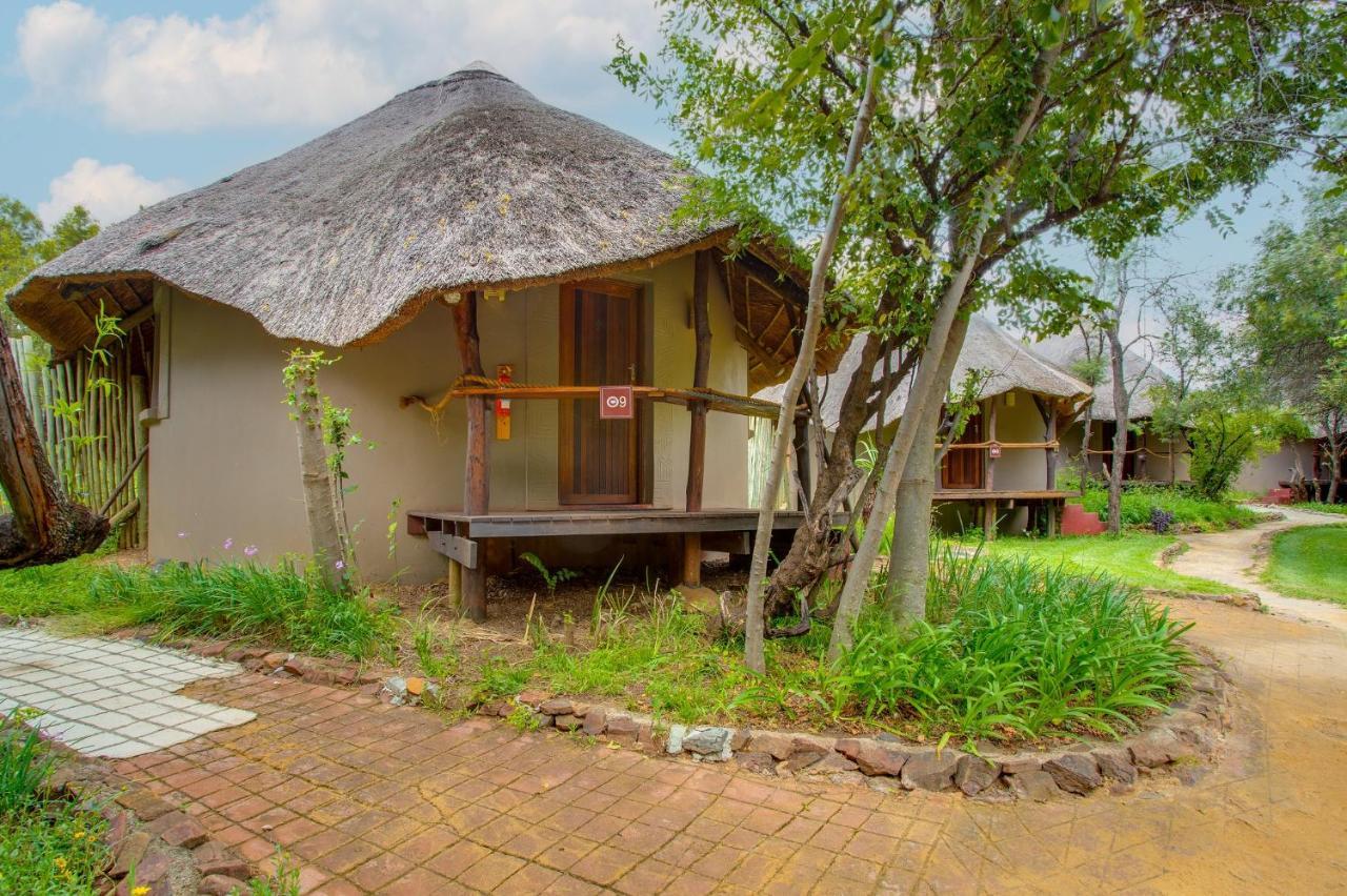 Warthogs Bush Lodge 马加利斯堡 外观 照片