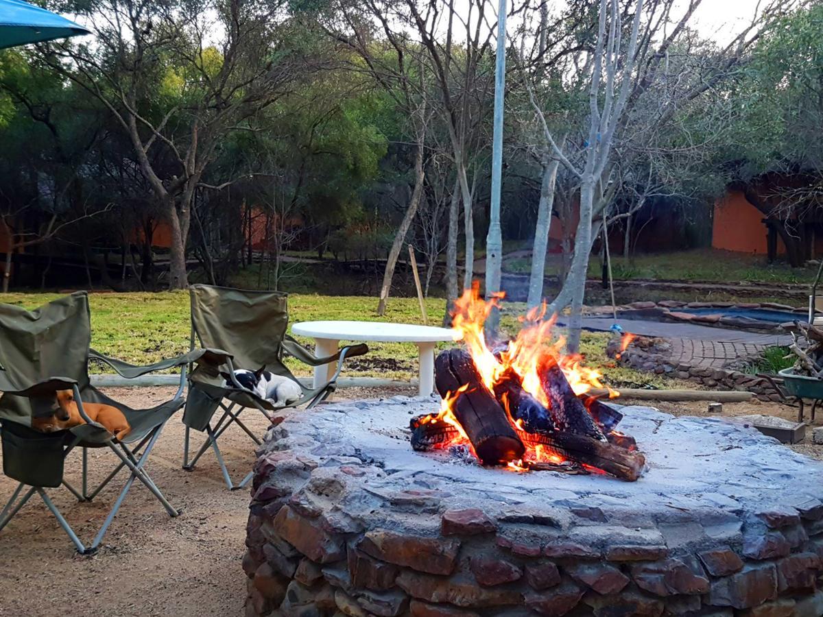 Warthogs Bush Lodge 马加利斯堡 外观 照片